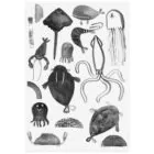 Bio Tattoo Ode an die See